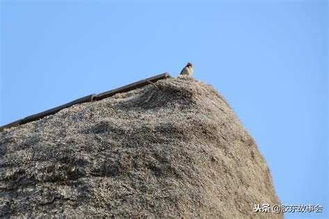 好聽的島名